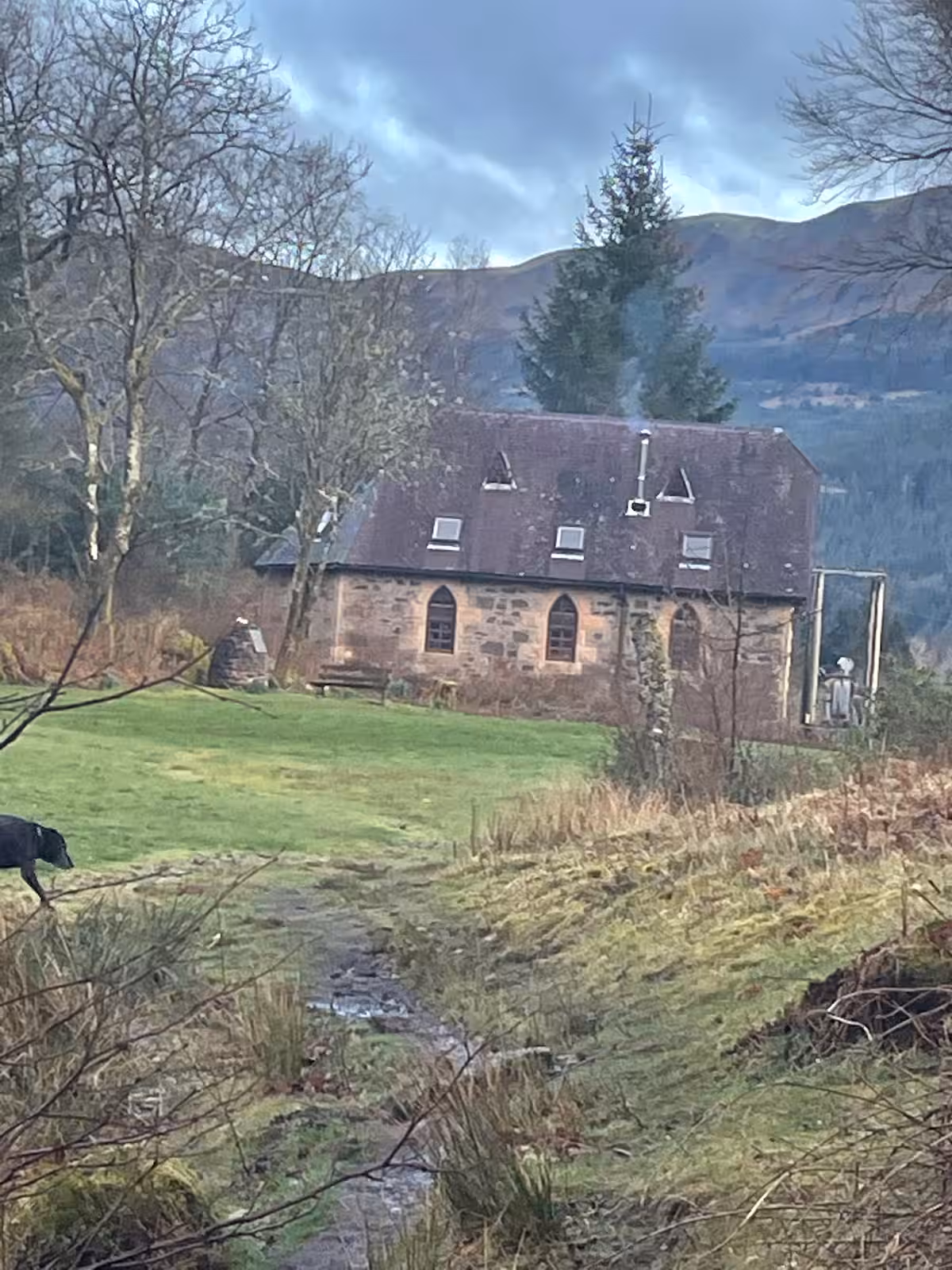 cdc32ff1-7181-4781-b636-1ed2711a6a8a